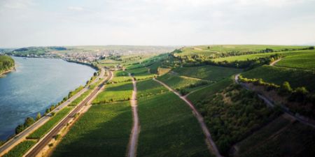 Obrázek pro kategorii Rheinhessen
