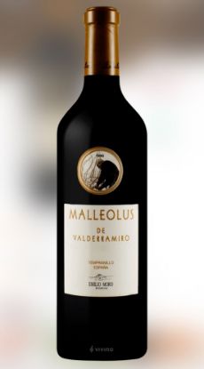 Obrázek Emilio Moro Malleolus de Valderramiro 2011